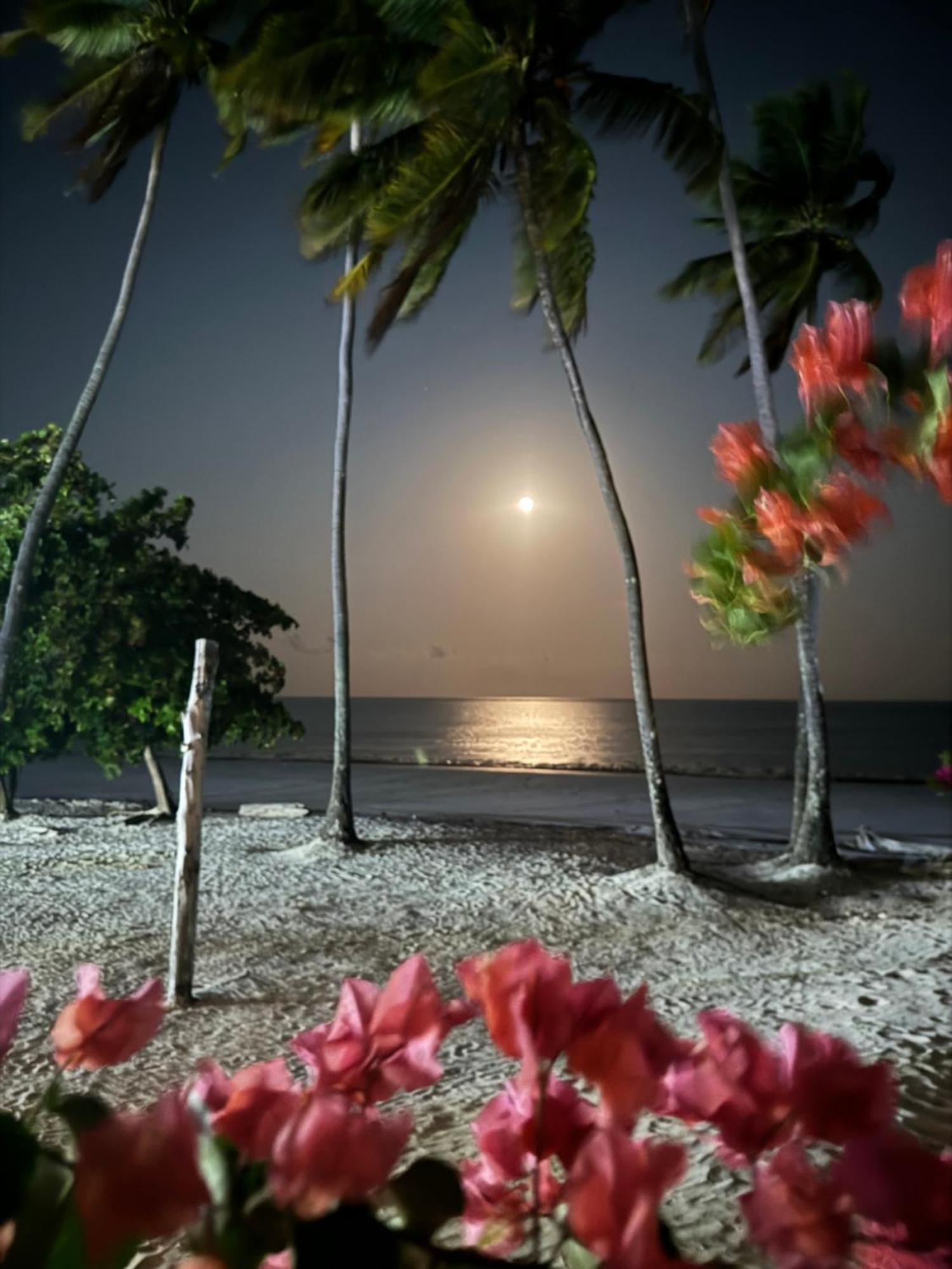 Zanzinite Beach Spa Hotel Zanzibar Exterior photo
